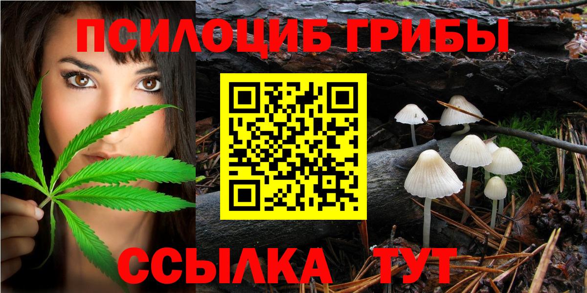 Галлюциногенные грибы мухоморы Самара